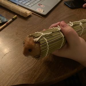 Meet your Posher, Katelynn